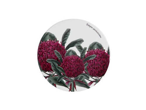 Royal Botanic Gardens Ceramic Round Coaster 9.5cm Telopea 1 Royal Botanic Gardens Ceramic Round Coaster 9.5cm Telopea