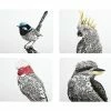 Marini Ferlazzo Birds Of Australia Cork Back Placemat 34x26.5cm Set Of 4 Gift Boxed