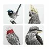 Marini Ferlazzo Birds Of Australia Cork Back Coaster 10.5cm Set Of 4 Gift Boxed