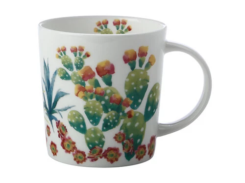 Royal Botanic Garden Arid Garden Mug 300ML Prickly Pear Gift Boxed 3 Royal Botanic Garden Arid Garden Mug 300ML Prickly Pear Gift Boxed - Image 3