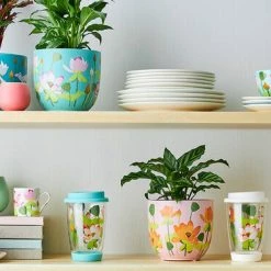 Royal Botanic Gardens Victoria Lotus Double Wall Glass Mug 380ML White Gift Boxed -homeless mug-shop maxwell williams rbgv lotus 03 sep28 3